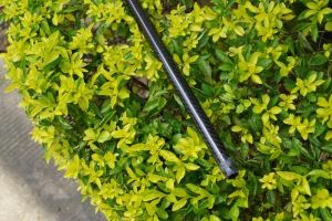 Anwo nan syèl la gen fòs milimèt 10 * 8 Fibre kabòn Époxy rive jouk nan vant/tiyo